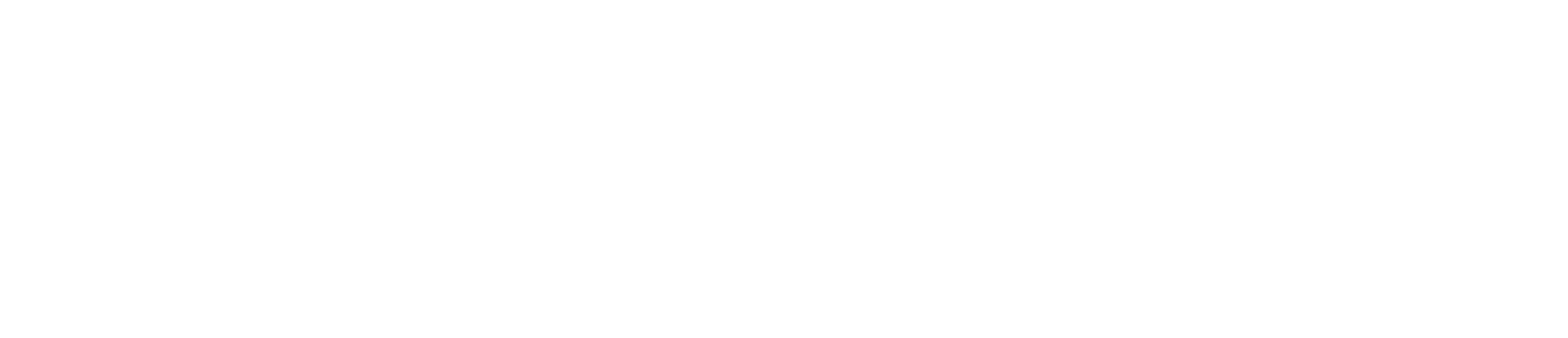 Pioneer Informatics logo